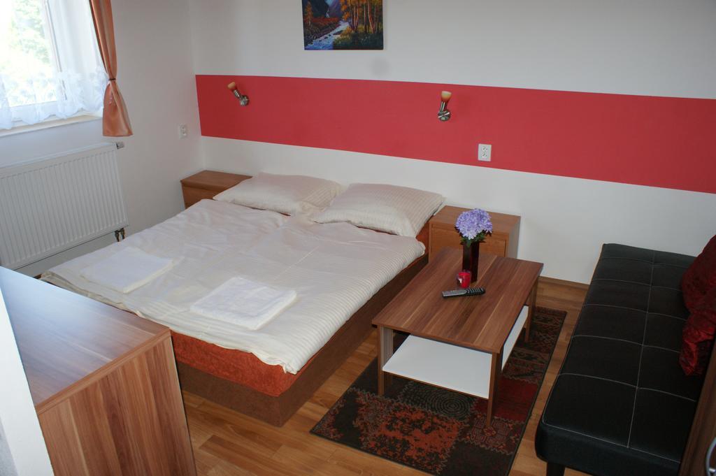Apartma Lipno Horní Planá Kamer foto