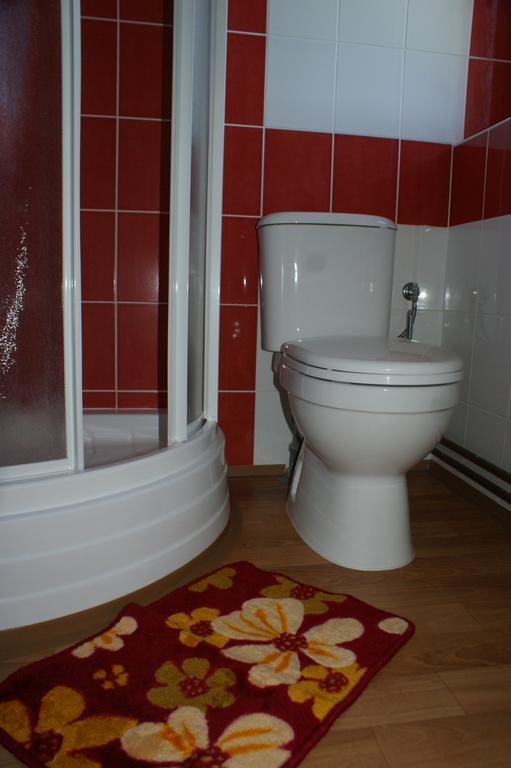 Apartma Lipno Horní Planá Kamer foto