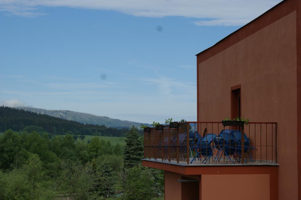 Apartma Lipno Horní Planá Buitenkant foto