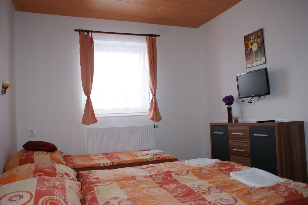 Apartma Lipno Horní Planá Buitenkant foto